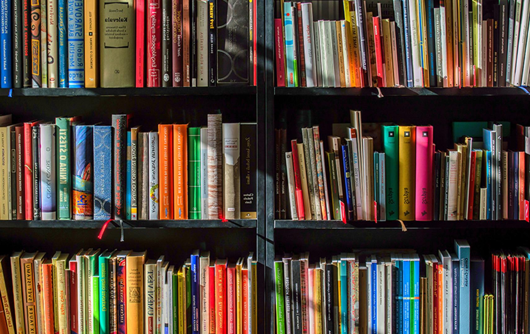 bookshelves in the library